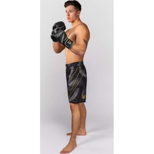 Venum Matupa MMA šorti, melni/pelēki/zelta