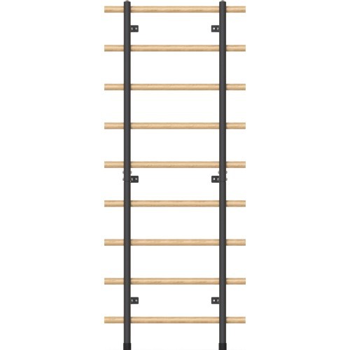 Wall Bars inSPORTline Wootaline 199 x 80 cm w/ Pull-Up Bar & Parallel Bars