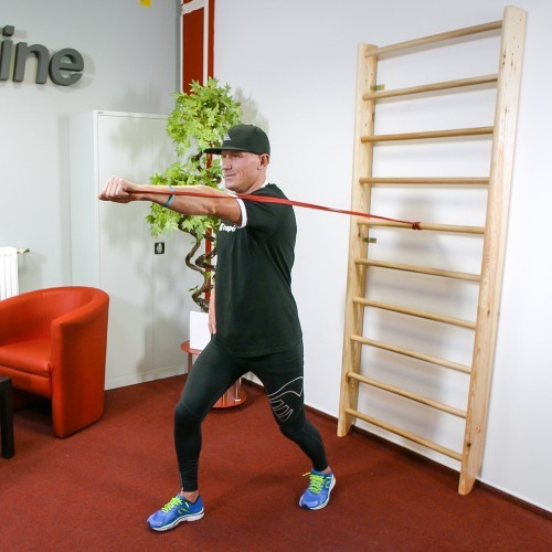 Шведская стенка inSPORTline Shapemar 240 x 90 см
