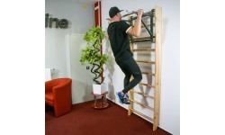Шведская стенка inSPORTline Shapemar 240 x 90 см