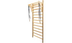Gymnastic Rings for Wall Bars inSPORTline Ringora