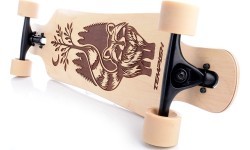 Longborda Tempish Coon