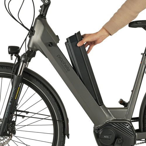 Электровелосипед Prophete Geniesser 3.0 City 28" // N7, размер 19" (48 см) (серый)