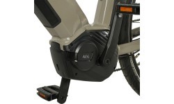 Prophete Entdecker 3.0 electric bike 28", 9-speed, frame size 21" (54 cm), brown