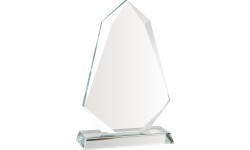 Стеклянная награда Z2321 - 28cm