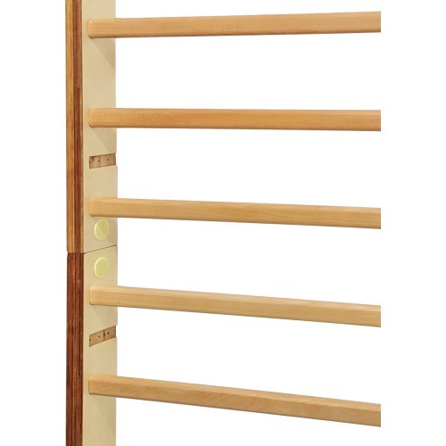 Wall Bars inSPORTline Dualmar 250 x 90 cm