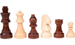 Šahs Philos 30x15cm