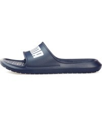Puma vīriešu čības Divecat V2 Lite Blue 374823 02