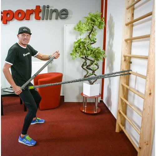 Wall Bars inSPORTline Steadyline 250 x 90 cm