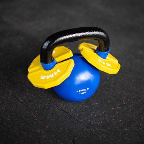TSN PLATE FOR STRENGTH AND FITNESS TRAINING OVERLAY TYPE HMS - 2x0.5kg