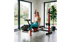 ADJUSTABLE WEIGHT BENCH WITH BARBELL RACK, LEG DEVELOPER AND PREACHER CURL PAD LS7688 HMS
