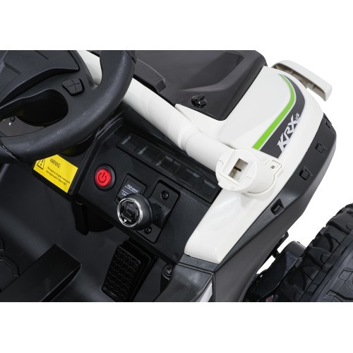 Elektromobilis bagijs Kawasaki TERYX KRX1000, pelēks