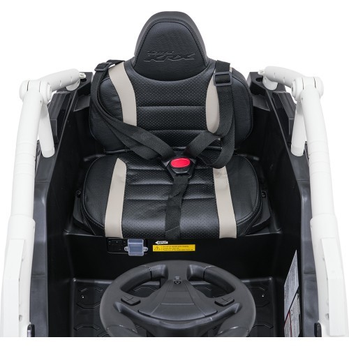 Elektromobilis bagijs Kawasaki TERYX KRX1000, pelēks