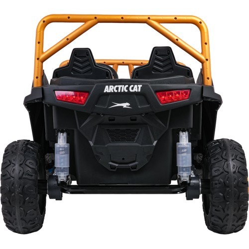 Buggy Arctic Cat WILDCAT XX Pink