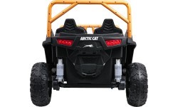Buggy Arctic Cat WILDCAT XX Green