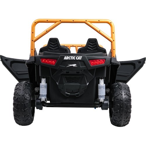 Buggy Arctic Cat WILDCAT XX Green