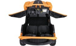 Elektromobilis Buggy Arctic Cat WILDCAT XX Gold