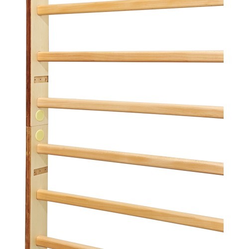 Vingrošanas siena inSPORTline Shapemar 250 x 90 cm
