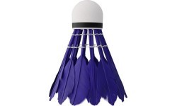 NBL6213 FEATHERS SHUTTLECOCKS MULTICOLOR 3 PCS. NILS