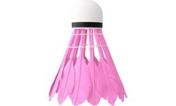NBL6213 FEATHERS SHUTTLECOCKS MULTICOLOR 3 PCS. NILS
