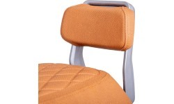 Backrest for Electric Scooter Stardust