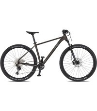 Mountain Bike 4EVER Prodigy Race 29” – 2026 - Black/hologram