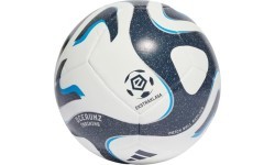 Футбольный мяч Adidas Training White Grey IQ4932