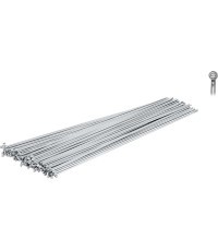 FORCE spoke 2 x 282 mm, zinc-plated (silver)