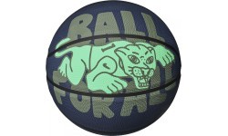 Nike Everyday Playground 8P basketbola bumba, zila zaļa, N1004371 434