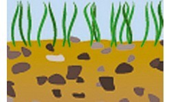 BasicNature duralumīnija telts miets