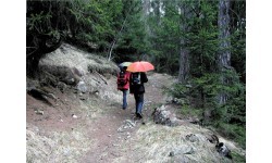 Зонт EuroSchirm «light trek automatic»