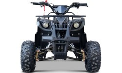 Квадроцикл WILDPEAK 110cc, чёрный