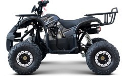 WILDPEAK 110cc Black Combustion Quad Vehicle
