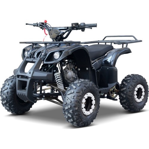 WILDPEAK 110cc Black Combustion Quad Vehicle