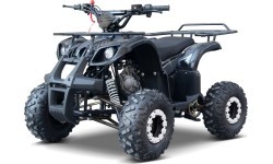 Квадроцикл WILDPEAK 110cc, чёрный