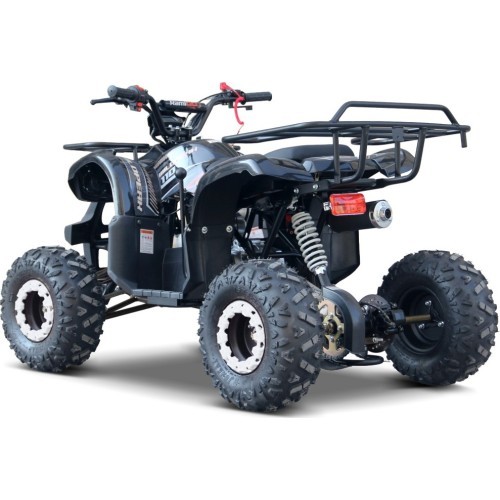 Квадроцикл WILDPEAK 110cc, чёрный