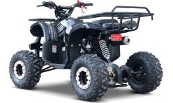 Kvadricikls WILDPEAK 110cc, melns