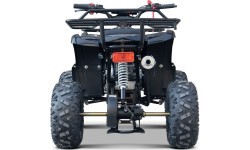 WILDPEAK 110cc Black Combustion Quad Vehicle