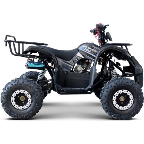 WILDPEAK 110cc Black Combustion Quad Vehicle