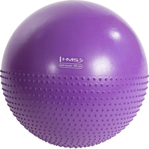 Jauna vingrošanas bumba HMS YB03, 55 cm, violeta