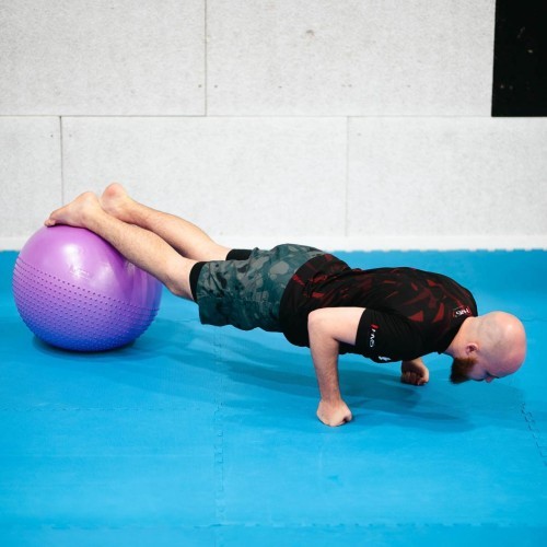 YB03 NEW 55CM VIOLET GYM BALL HMS