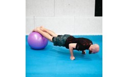 YB03 NEW 55CM VIOLET GYM BALL HMS