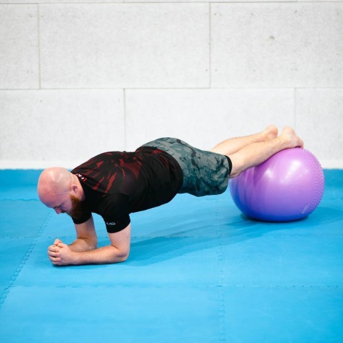 YB03 NEW 55CM VIOLET GYM BALL HMS