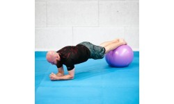 YB03 NEW 55CM VIOLET GYM BALL HMS