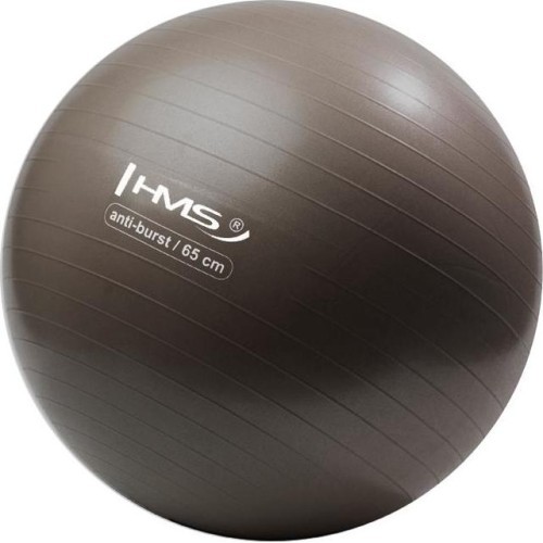 YB02N 65CM GRIZZLY GYM BALL HMS