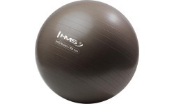 YB02N 65CM GRIZZLY GYM BALL HMS
