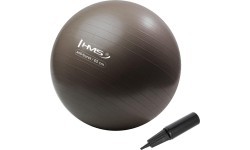 YB02N 65CM GRIZZLY GYM BALL HMS
