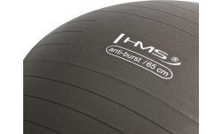 YB02N 65CM GRIZZLY GYM BALL HMS