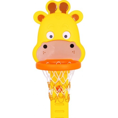 Set of basketball + hoops