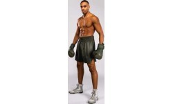 Venum Stealth Boxing Shorts - Khaki/Dark Green